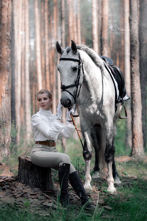 лошади / человек и лошадь horse and human