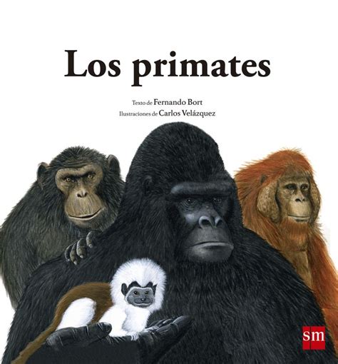 En Este Libro Descubrirás Quiénes Son Los Primates Y Cuántos Tipos Diferentes Forman Esta