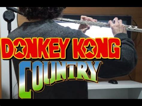 Donkey Kong Country Bonus Theme Flute Cover YouTube