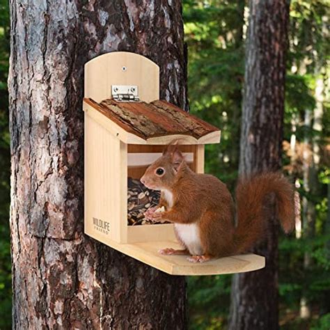 Wildlife Friend I Mangeoire Écureuil Exterieur En Bois Avec Toit En