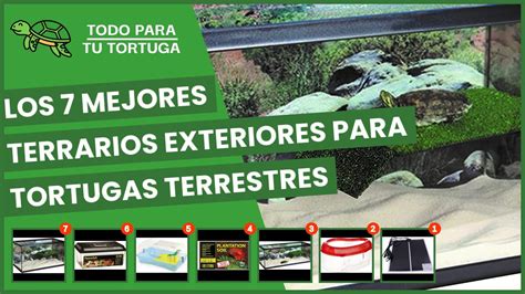 Los Mejores Terrarios Exteriores Para Tortugas Terrestres Youtube