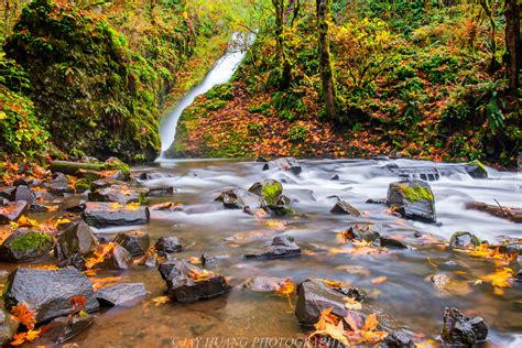 Wodospad I Rzeka Bridal Veil W Rezerwacie Przyrody Columbia River Gorge