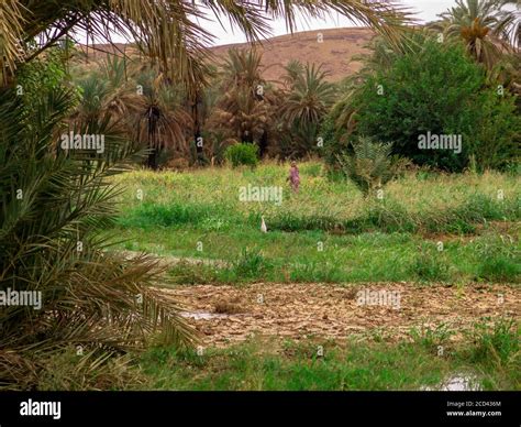 Maroc Rural Habitat Moroccan Banque De Photographies Et Dimages à