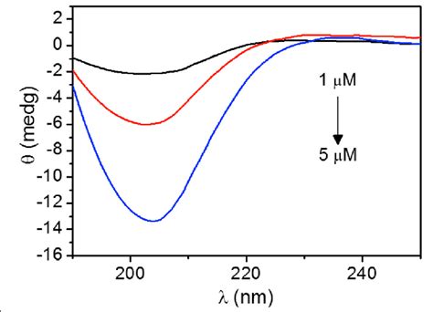 Circular Dichroism Spectra Of The Dipeptide At Different Dilutions