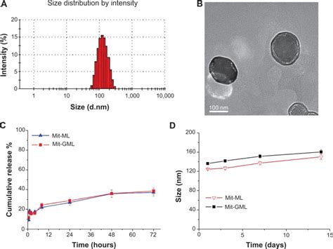 Physical Characterization Of Multifunctional Liposomes Notes A Download Scientific Diagram