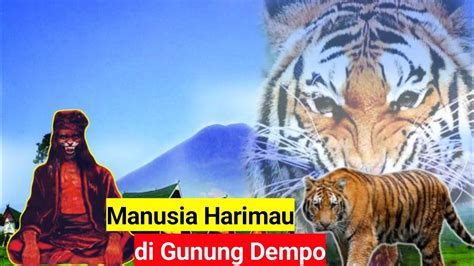 Manusia Harimau Di Gunung Dempo Kisah Pencarian Ilmu Warisan Leluhur