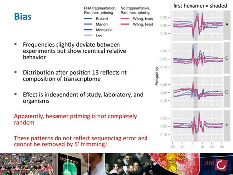 Biases In Rna Seq Data October 15th 2012 Nbic Advanced Rna Seq Course Ppt Download