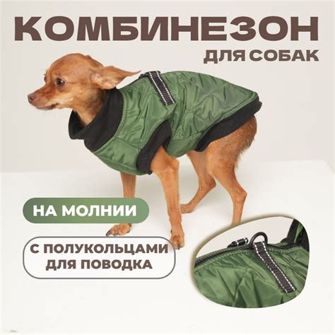 Комбинезон для собак мелких и средних пород - купить с доставкой по ...