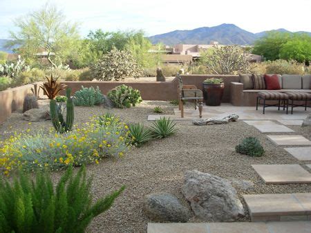 100 Desert Backyard Design ideas | backyard, desert backyard, backyard design