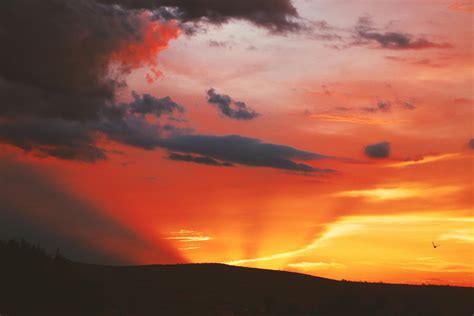 Free stock photo of backlit, blue sky, clouds