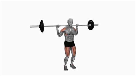 Mastering The Barbell Behind Neck Push Press A Beginners Guide 1000