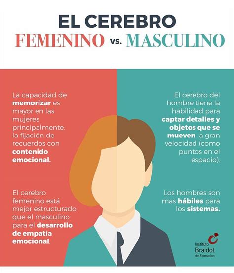 Diferencias Entre Los Cerebros Masculinos Y Mars