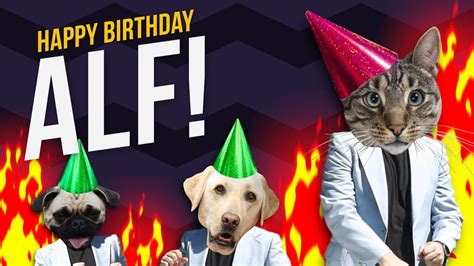 Happy Birthday Alf Its Time To Dance Youtube