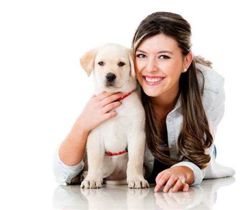 What Is A Histiocytoma On A Dog