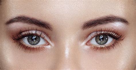 Female Eye With Long False Eyelashes Stock Image Image Of Beautiful