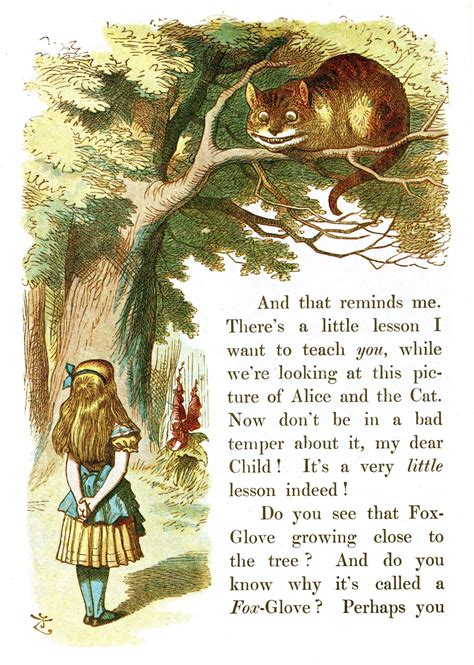 Cheshire Catjohn Tenniel Alice And Wonderland Quotes Adventures In