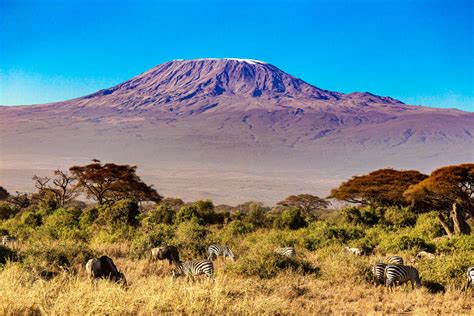 Mont Kilimandjaro Le Mythique Toit De Lafrique L Odyss E De La Terre