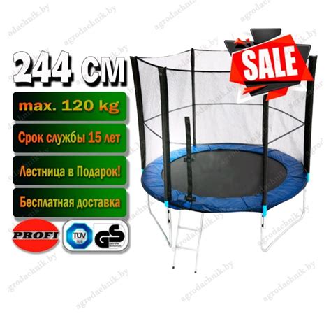 Батут PROFI 244см (8ft BASIC) - безопасный и надежный | Agrodachnik