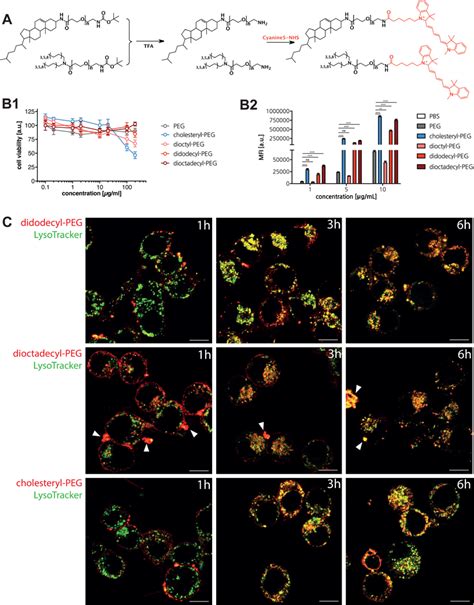 A Synthesis Of Lipidpegcy Amphiphiles B Cytotoxicity Of Peg And