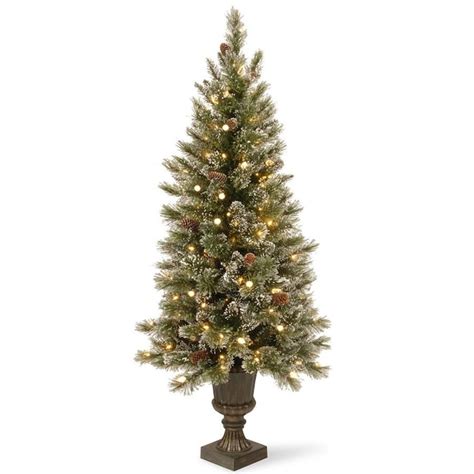 National Tree Company 5 Ft Bristle Pine Pre Lit Potted Traditional