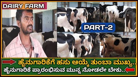 Start A Dairy Farm Hf Cow Farming Business How To Start Dairy Farm ಹೈನುಗಾರಿಕೆ Dairy Farm