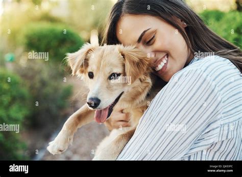 Dog Snuggles Hi Res Stock Photography And Images Alamy