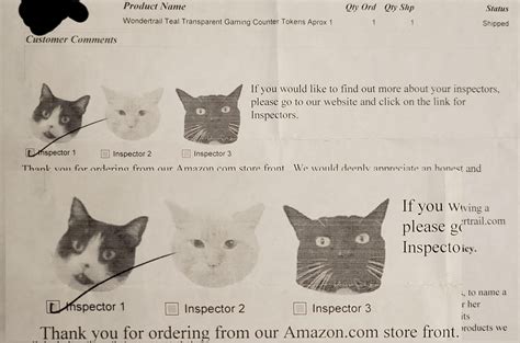 App notifications explain how to correctly track my amazon order 22