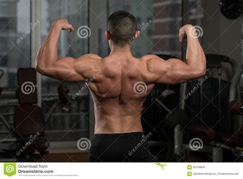 Double Pose De Biceps Image Stock Image Du Fond Section 65759809