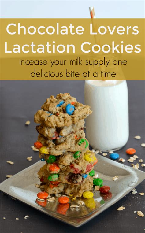 Oatmeal Chocolate Chip Lactation Cookies Recipe Thrifty Nifty Mommy