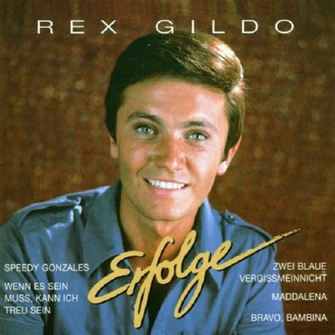 Rex Gildo Erfolge 2000 CD Discogs