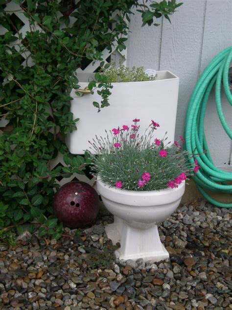 Creative Container Gardening I Picked This Toilet Up At Habitat For