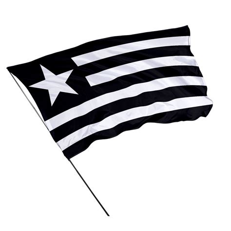 Bandeira Do Botafogo 1 45m X 1m Bf02 Shopee Brasil