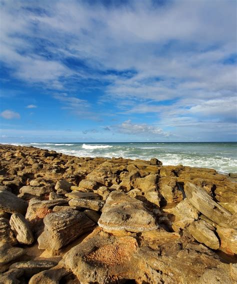 Washington Oaks Gardens State Park Beach in Palm Coast, FL (2020 Photos ...