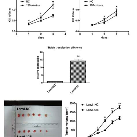 Effects Of Mir 126 On The Proliferation And Metastasis Of Pca In Vitro