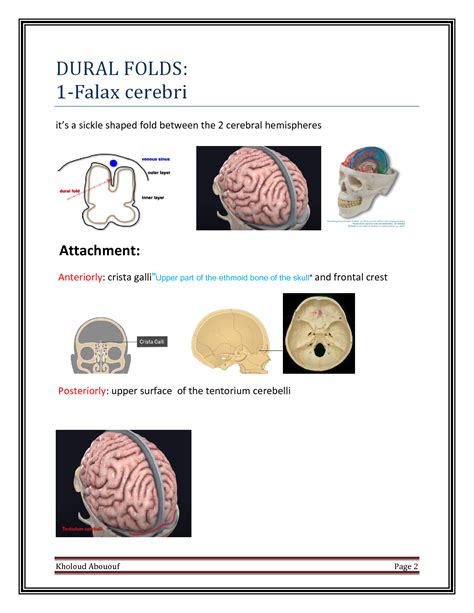 SOLUTION: Anatomy of the cranial cavity - Studypool