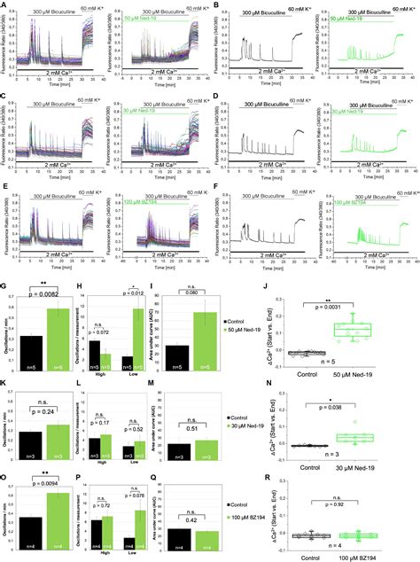 Frontiers Contribution Of Naadp To Glutamate Evoked Changes In Ca