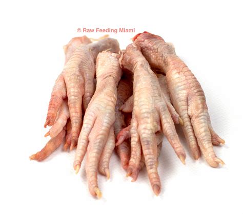 Chicken Feet – Raw Feeding Miami