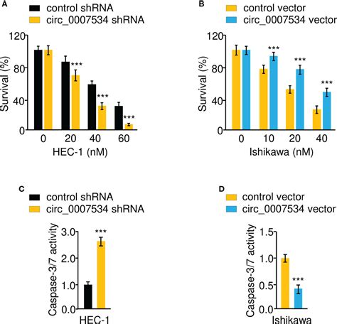 Frontiers Oncogenic Circular Rna Circ Contributes To