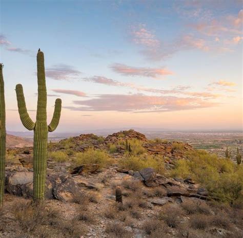 insiders guide  phoenix visit arizona