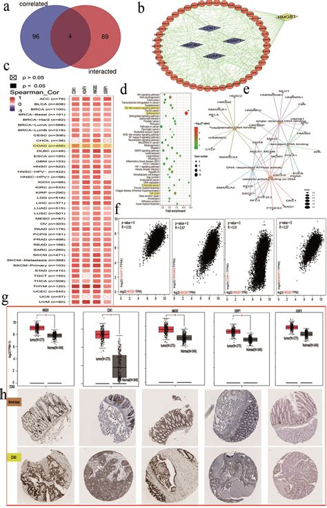 HMGB1 Related Gene Enrichment Analysis Suggests Four Correlated Genes