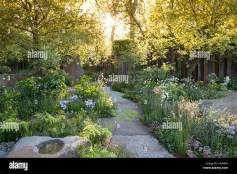 Cottage Garden im Frühjahr Großbritannien mit Stein gepflasterten Pfad ...