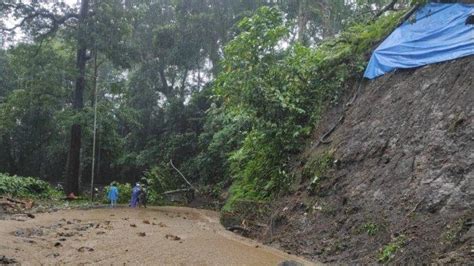 Longsor Dan Pohon Tumbang Di Jalur Gumitir Jember Arus Lalu Lintas