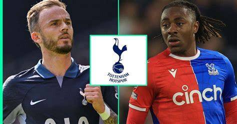 Former Tottenham Man Tips Postecoglou To Brutally Axe £40m Star And