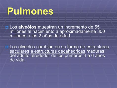 La Respiracion Y Termorregulacion En El Recien Nacido Ppt