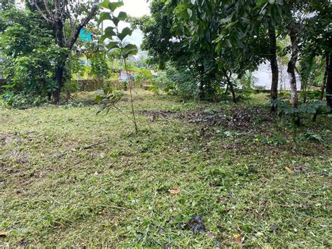 Residential Plot 20 Cent For Sale In Padiyottuchal Kannur REI990364