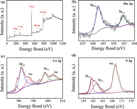XPS Spectra Of The CoMnS 2 5 A Survey Spectrum B Mn 2p C Co 2p