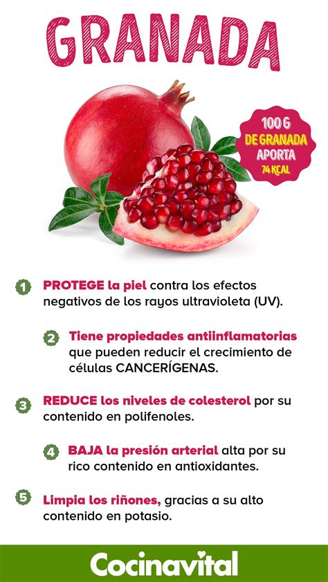 Beneficios De La Granada Roja Artofit