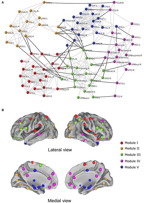 Frontiers Graph Based Network Analysis Of Resting State Functional