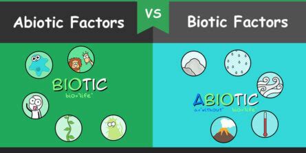 Difference between Abiotic and Biotic Factors – Bio Differences