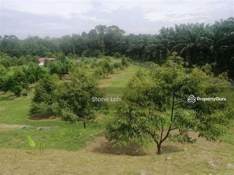 GOPENG 3 ACRES DURIAN FARM AGRICULTURE LAND FOR SALES Gopeng Kampar